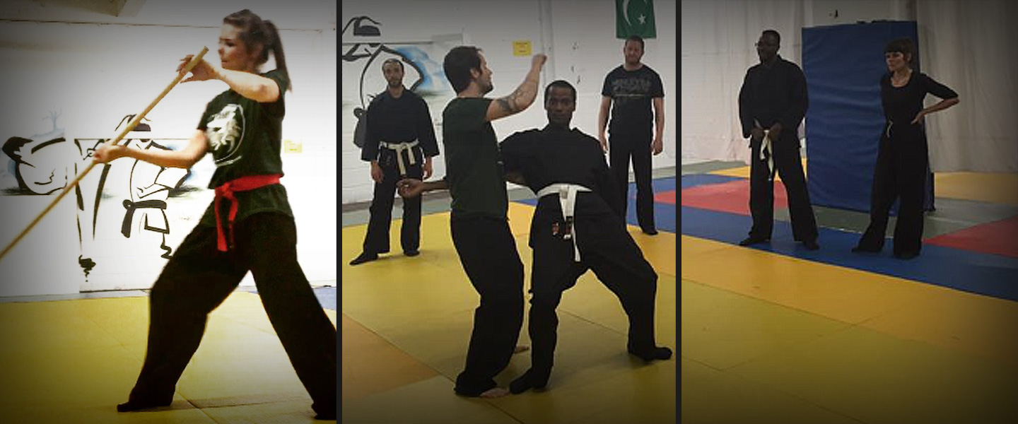The martial arts community